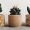 3d-printed-modern-wood-planters-080317-1113-01