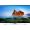 LG Super UHD Smart TV 4K 75SJ955V & 86SJ957V Photo