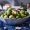 brussels_sprouts_with_12803_16x9