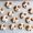 dog-shaped-cookies-recipe-chocolate-3