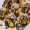 top-view-dessert-profiteroles-with-chocolate-icing-grated-nuts